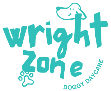 Doggy Day Care